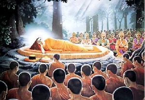 黃梅衣缽 黃梅衣缽