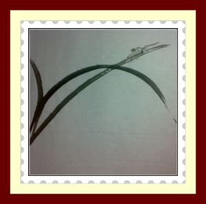 半工半寫 半工半寫