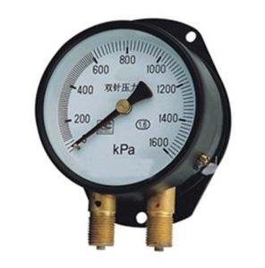 雙針耐震壓力表
