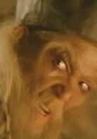 張保仔 演員 易天雄