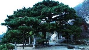 徂徠山國家森林公園