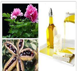 菏澤牡丹籽油 菏澤牡丹籽油