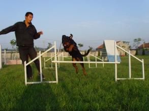 上吉拉組村 上吉拉組村