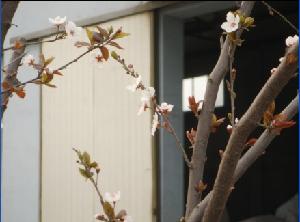 東營市諾爾化工有限責任公司