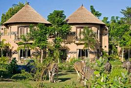 巴厘島野生動物園 巴厘島野生動物園