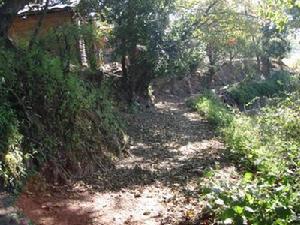 下箐頭村村內道路