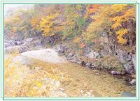 東床雲長山溪谷