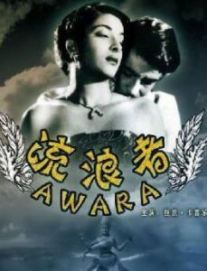 流浪者 印度版 流浪者 印度版