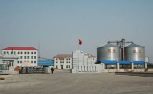 黑龍江省陽霖油脂集團有限公司 黑龍江省陽霖油脂集團有限公司