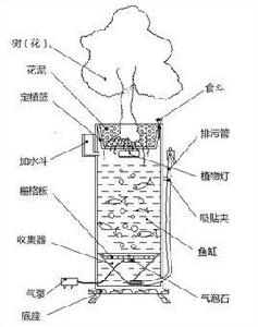 花魚共養 花魚共養