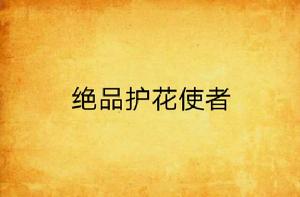 絕品護花使者 絕品護花使者