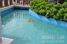 中石化茂名石化污水處理池旁邊的魚池