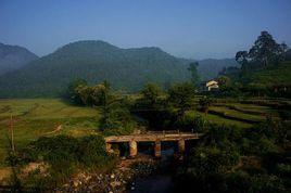 白竹園村 白竹園村