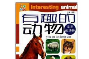 有趣的動物:家養的動物 有趣的動物:家養的動物