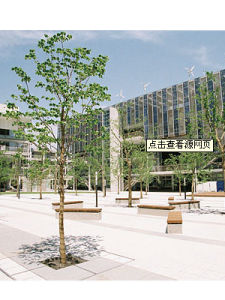 大東文化大學 大東文化大學