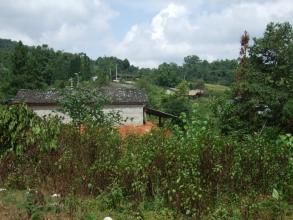 茶山小團結自然村 茶山小團結自然村