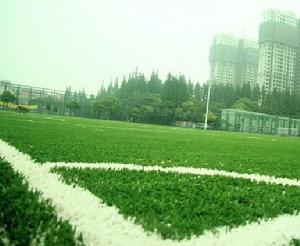 上海市楊浦白洋淀足球場