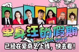 單身汪的假期 單身汪的假期