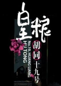 皇糧胡同十九號 皇糧胡同十九號