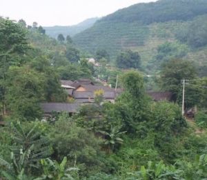 團山新寨 團山新寨