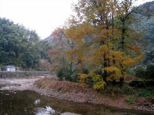 大缺口古道 大缺口古道