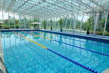 泳池[進行游泳運動的場地]