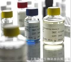 黃體激素 黃體激素