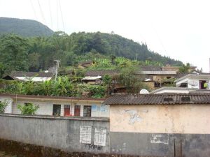 路素耿村 路素耿村