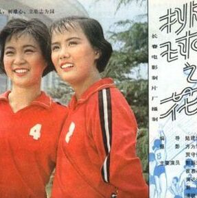 排球之花 排球之花
