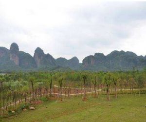 上清林場 上清林場