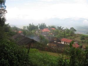 坡頭新寨村 坡頭新寨村