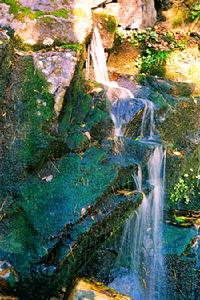 肇大雞山國家森林公園
