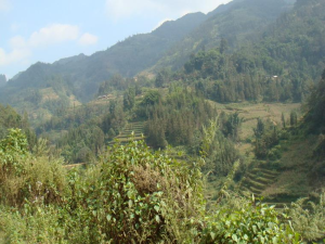 山尾巴自然村 山尾巴自然村