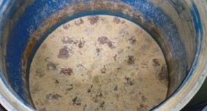 奶酒粕發酵食品 奶酒粕發酵食品