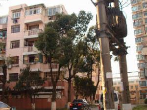 蘭坪三村 蘭坪三村