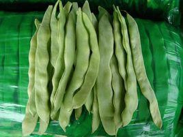 菜豆[一種豆類蔬菜]
