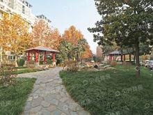 紫薇田園都市D區實景圖