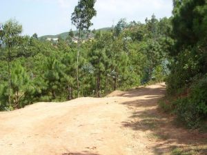 阿朵樂村 阿朵樂村