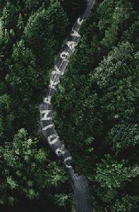 平凡的日子[2017年加拿大電影]