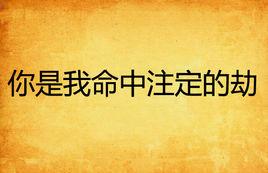 你是我命中注定的劫 你是我命中注定的劫