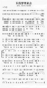 只有夢裡來去 只有夢裡來去