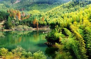 黃柏塬原生態風景區