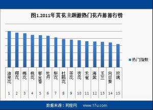 油菜花游 油菜花游