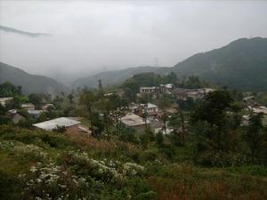 泥凼子自然村 泥凼子自然村