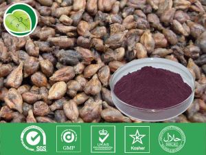 葡萄籽原花青素 葡萄籽原花青素