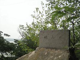 山口村[安徽省鳳台縣劉集鄉山口村]