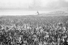 武漢竹葉海公園