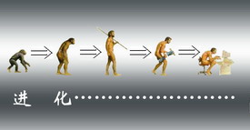 （圖）進化