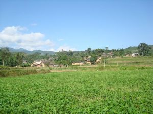 清涼街子村 清涼街子村