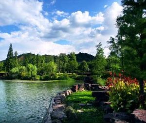 杭州生態園 杭州生態園